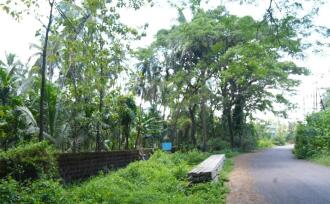 Commercial Land for Sale in Kannur, Payyanur, Karivellur, Highway service road, Near Maruti Service Centre