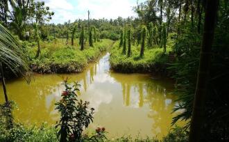 Commercial Land for Sale in Kannur, Payyanur, Karivellur, Highway service road, Near Maruti Service Centre