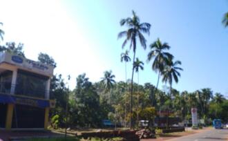 Commercial Land for Sale in Kannur, Cherupuzha, Cherupuzha, Cherupuzha - Payyanur Road