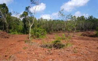 Residential Land for Sale in Kannur, Payyanur, Korom, Near S N Collage Payyanur