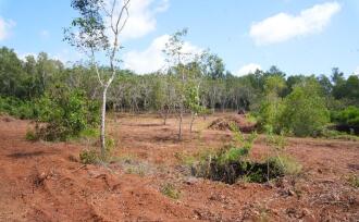 Residential Land for Sale in Kannur, Payyanur, Korom, Near S N Collage Payyanur