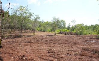 Residential Land for Sale in Kannur, Payyanur, Korom, Near S N Collage Payyanur