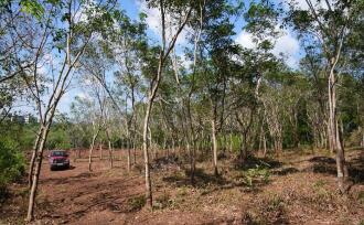 Residential Land for Sale in Kannur, Payyanur, Korom, Near S N Collage Payyanur