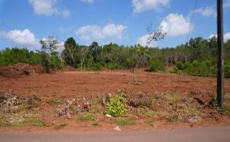 Residential Land for Sale in Kannur, Payyanur, Korom, Near S N Collage Payyanur