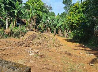 Residential Land for Sale in Kottayam, Kottayam town, Manganam, Manganam
