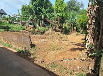Residential Land for Sale in Kottayam, Kottayam town, Manganam, Manganam