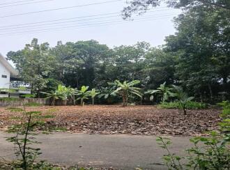 വാസയോഗ്യമായ ഭൂമി വില്പനയ്ക്ക് കോട്ടയം, Kaduthuruthy, Kaduthuruthy