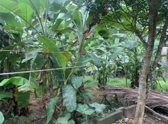 Residential Land for Sale in Ernakulam, Piravom, Piravom, Thottabhagam road