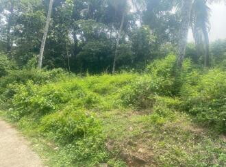 Residential Land for Sale in Pathanamthitta, Kozhencherry, Kozhencherry, malakkara paramada