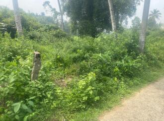 Residential Land for Sale in Pathanamthitta, Kozhencherry, Kozhencherry, malakkara paramada