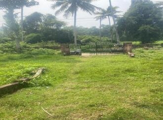 Residential Land for Sale in Pathanamthitta, Kozhencherry, Kozhencherry, malakkara paramada