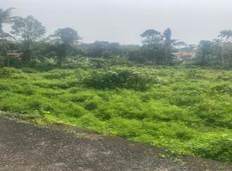 Residential Land for Sale in Pathanamthitta, Kozhencherry, Kozhencherry, malakkara paramada