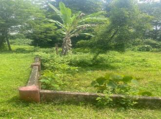 Residential Land for Sale in Pathanamthitta, Kozhencherry, Kozhencherry, malakkara paramada