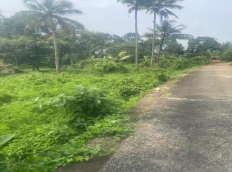 Residential Land for Sale in Pathanamthitta, Kozhencherry, Kozhencherry, malakkara paramada