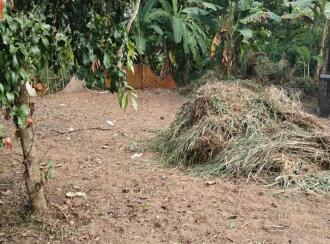 Residential Land for Sale in Thrissur, Koratty, Koratty, Health center Kathikkudam