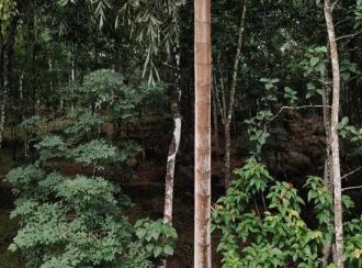 Residential House Villa for Sale in Kottayam, Pala, Kozhuvanal, Kappalikunnu