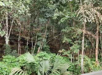 Residential House Villa for Sale in Kottayam, Pala, Kozhuvanal, Kappalikunnu