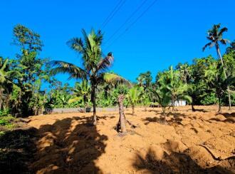 Residential Land for Sale in Ernakulam, Kothamangalam, Pindimana, Kavumpadi