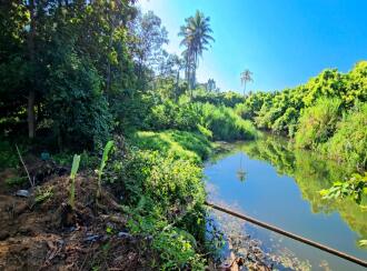 Residential Land for Sale in Ernakulam, Kothamangalam, Pindimana, Kavumpadi