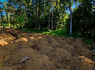 Residential Land for Sale in Ernakulam, Kothamangalam, Pindimana, Kavumpadi