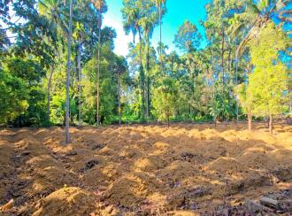 Residential Land for Sale in Ernakulam, Kothamangalam, Pindimana, Kavumpadi
