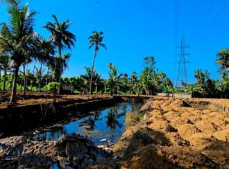Residential Land for Sale in Ernakulam, Kothamangalam, Pindimana, Kavumpadi