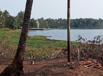 Residential Land for Sale in Thrissur, Irinjalakuda, Aripalam, Near to Aripalam church