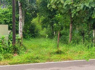 Agricultural Land for Sale in Pathanamthitta, Elavumthitta, Karithotta, Near S N V LP School Ullannoor (Kooduvettickal)