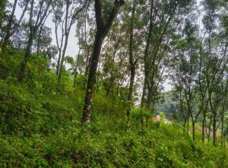 Agricultural Land for Sale in Pathanamthitta, Elavumthitta, Karithotta, Near S N V LP School Ullannoor (Kooduvettickal)