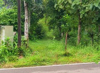 Agricultural Land for Sale in Pathanamthitta, Elavumthitta, Karithotta, Near S N V LP School Ullannoor (Kooduvettickal)