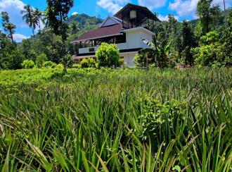 Residential Land for Sale in Ernakulam, Muvattupuzha, Vazhakulam, Avoli in Vazhakulam - Koothattukulam Road