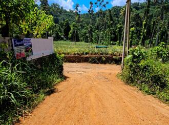 Residential Land for Sale in Ernakulam, Muvattupuzha, Vazhakulam, Avoli in Vazhakulam - Koothattukulam Road