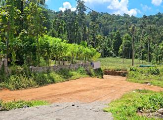 Residential Land for Sale in Ernakulam, Muvattupuzha, Vazhakulam, Avoli in Vazhakulam - Koothattukulam Road