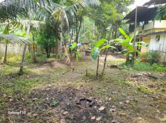 Residential Land for Sale in Thrissur, Triprayar, Edamuttam, Mythri Road