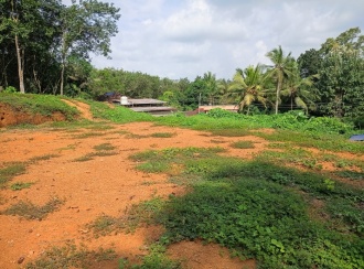 Residential Land for Sale in Pathanamthitta, Mallappally, Pariyaram, Thundiyamkulam