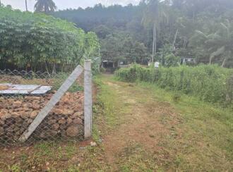 Residential Land for Sale in Kollam, Pathanapuram, Punnala, Alimukku