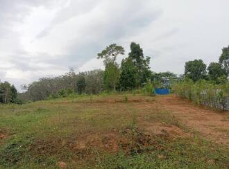 Residential Land for Sale in Kollam, Pathanapuram, Punnala, Alimukku