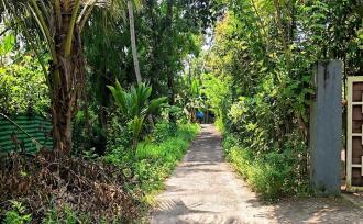 Commercial Land for Sale in Alleppey, Punnapra, Punnapra, Punnapra west, Near Viyani Church