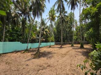 Residential Land for Sale in Alleppey, Kayamkulam, Krishnapuram, Peringala, Bharanikkavu, near Kayamkulam, Karimuttam Temple Lane, Pallikkal, Kayamkulam, Alappuzha-690503, Kerala