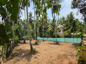Residential Land for Sale in Alleppey, Kayamkulam, Krishnapuram, Peringala, Bharanikkavu, near Kayamkulam, Karimuttam Temple Lane, Pallikkal, Kayamkulam, Alappuzha-690503, Kerala
