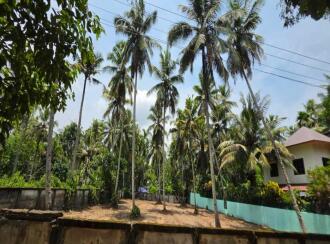 Residential Land for Sale in Alleppey, Kayamkulam, Krishnapuram, Peringala, Bharanikkavu, near Kayamkulam, Karimuttam Temple Lane, Pallikkal, Kayamkulam, Alappuzha-690503, Kerala