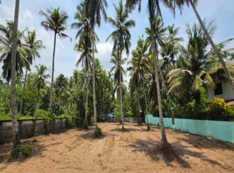 Residential Land for Sale in Alleppey, Kayamkulam, Krishnapuram, Peringala, Bharanikkavu, near Kayamkulam, Karimuttam Temple Lane, Pallikkal, Kayamkulam, Alappuzha-690503, Kerala
