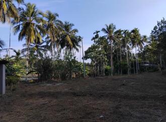 വാസയോഗ്യമായ ഭൂമി വില്പനയ്ക്ക് Malappuram, Perinthalmanna, Mankada