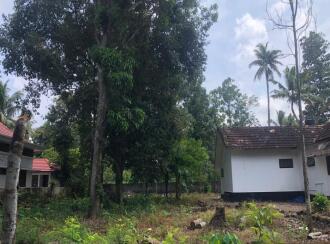 Residential Land for Sale in Kottayam, Ettumanoor, Neendoor