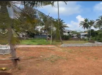 Residential Land for Sale in Thrissur, Wadakanchery, Kumbalangad, Kumbalangadu Road