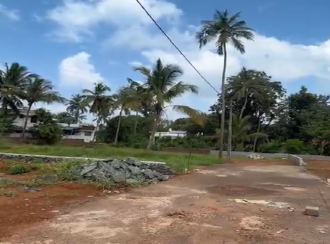 Residential Land for Sale in Thrissur, Wadakanchery, Kumbalangad, Kumbalangadu Road
