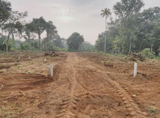 വാസയോഗ്യമായ ഭൂമി വില്പനയ്ക്ക് കോട്ടയം, Karukachal, Nethalloor, Thommachery - koodathinal road