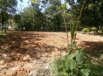 Residential Land for Sale in Alleppey, Mannar, Kuttamperoor, Alumoodu junction