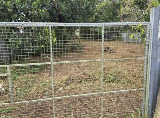 Residential Land for SaleKollam, Karunagapally, Pada north