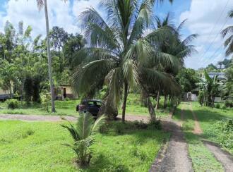 Commercial Land for Sale in Pathanamthitta, Pathanamthitta, Mylapra, mylaprapallipady
